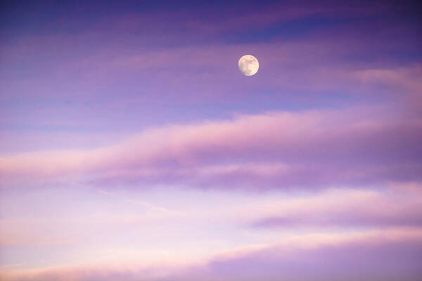 Clouds Art Print featuring the photograph A White Moon in Twilight by Ellie Teramoto
