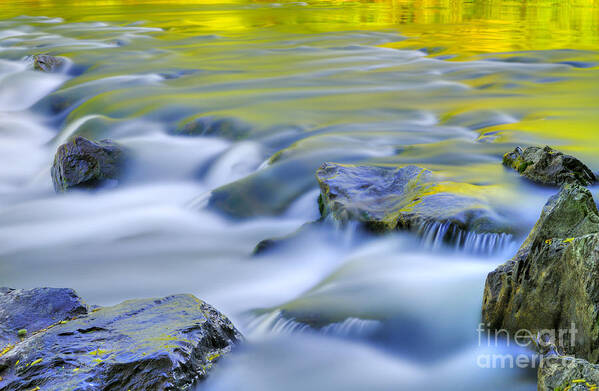 River Art Print featuring the photograph Argen River by Silke Magino