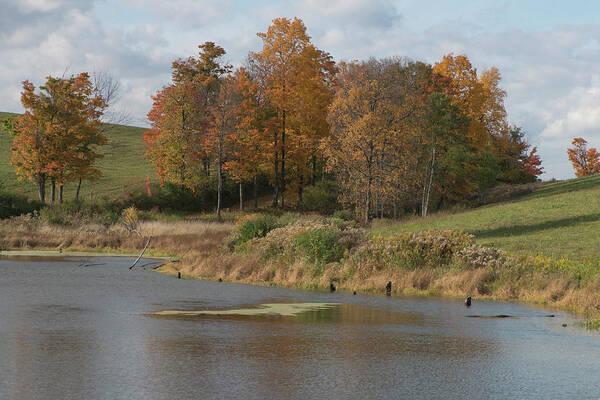 Pond Art Print featuring the photograph Autumn Pond by Joshua House