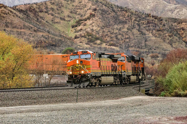 Bnsf Art Print featuring the photograph Bnsf4114 1 by Jim Thompson