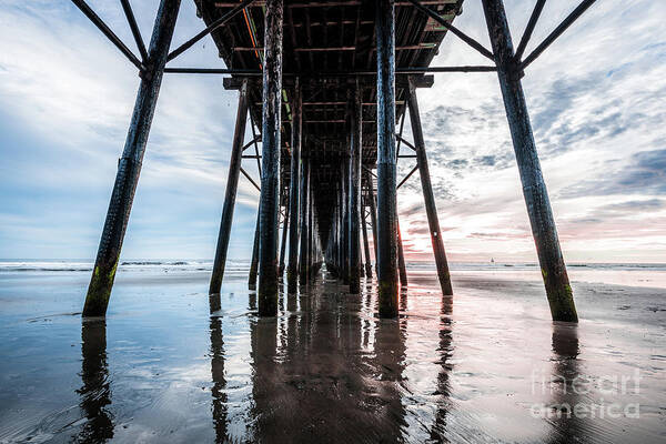 Beach Art Print featuring the photograph Dry Underpier by David Levin
