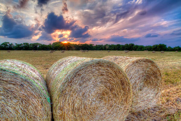 Sunset Art Print featuring the photograph Hay Bales at Sunset by Tim Stanley