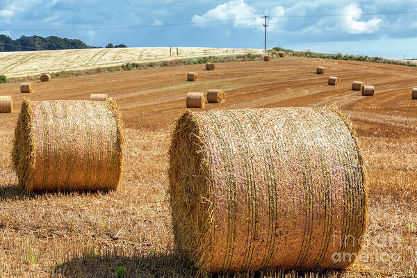 Down Art Print featuring the photograph Hay Bales by Jim Orr