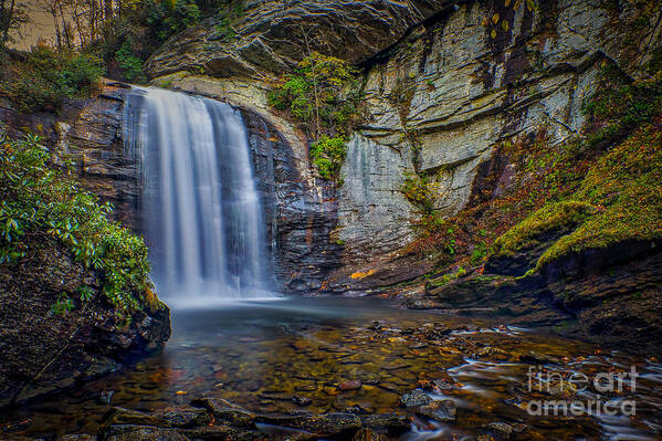 Waterfall Art Print featuring the photograph Looking Glass Falls in the Blue Ridge Mountains Brevard North Carolina by T Lowry Wilson