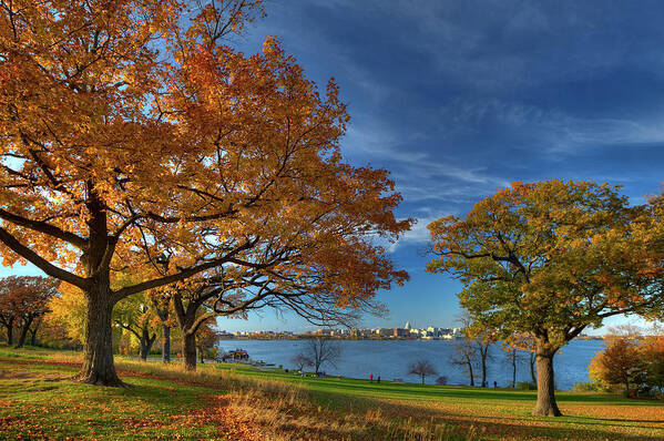 Olin Park Madison Wi Autumn Lake Monona Wisconsin Lake Fall Color Blue Yellow Capitol Art Print featuring the photograph Madison across Lake Monona in Autumn Splendor from Olin Park by Peter Herman