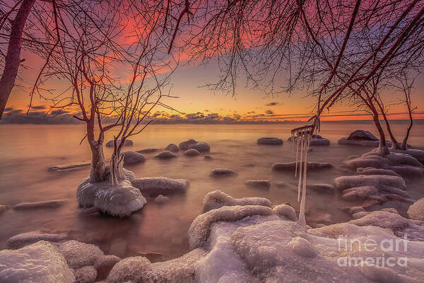 Branches Art Print featuring the photograph MKE Freeze by Andrew Slater