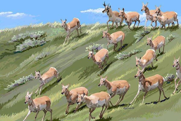 Animals Art Print featuring the painting Pronghorn Promenade by Pam Little