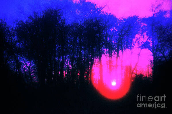 Landscape Art Print featuring the photograph Purple Sunset by Craig J Satterlee