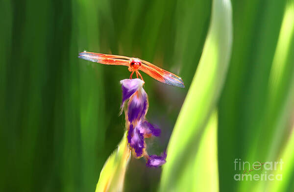 Dragonfly Art Print featuring the painting Red Dragonfly on Purple Flower by Lisa Redfern