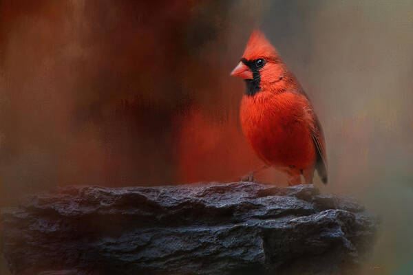 Jai Johnson Art Print featuring the photograph Red On The Rocks - Cardinal Bird Art by Jai Johnson