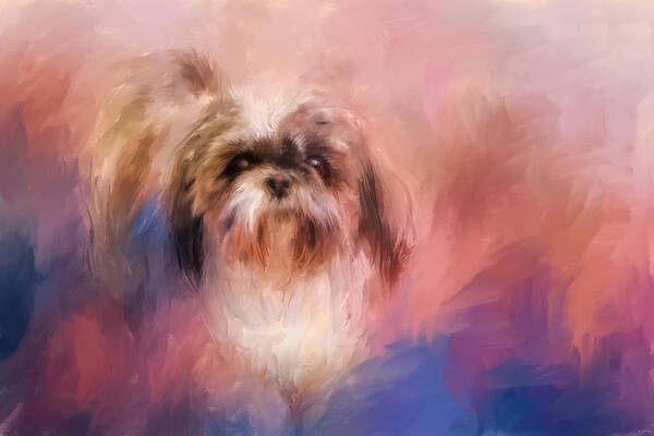 Jai Johnson Art Print featuring the photograph Shih Tzu On The Move by Jai Johnson