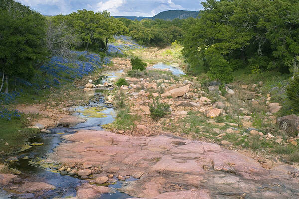 Spring Art Print featuring the photograph Spring in the Texas Hill Country by Paul Huchton