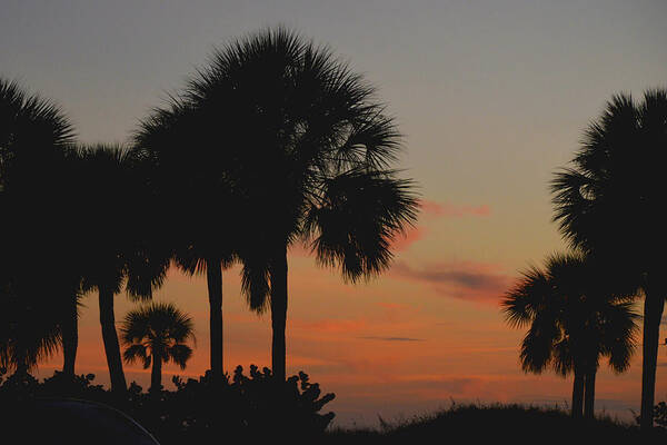 Palm Trees Art Print featuring the photograph Sunset over the Palms by Deborah Bifulco