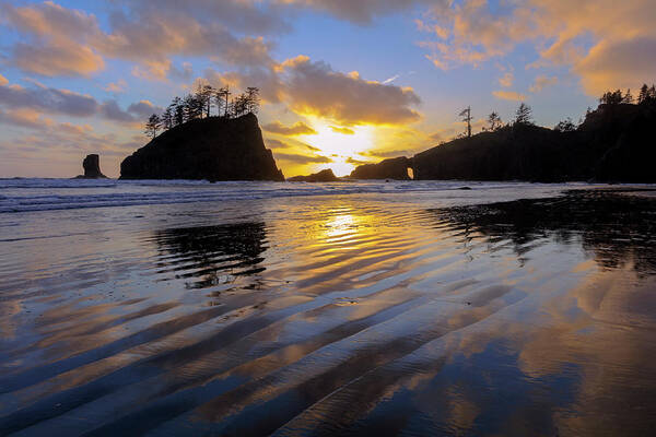 Washington Art Print featuring the photograph Sunset Symphony by Mike Lang