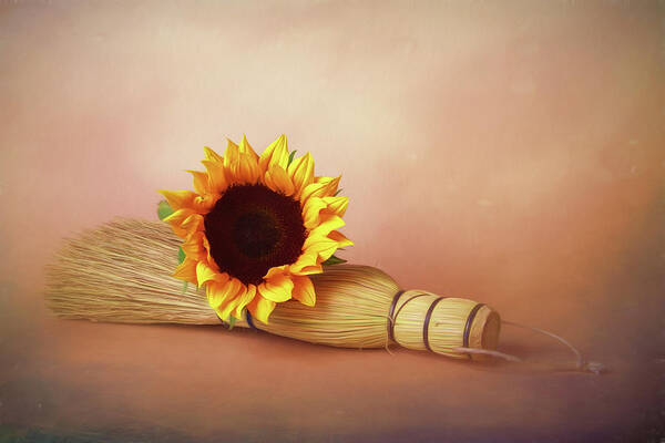 Sunflower Art Print featuring the photograph Sweet and Simple by Tom Mc Nemar