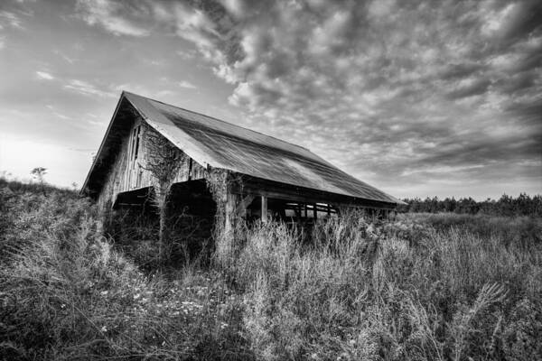 Alabama The Beautiful Art Print featuring the photograph Take Me to the Country by JC Findley