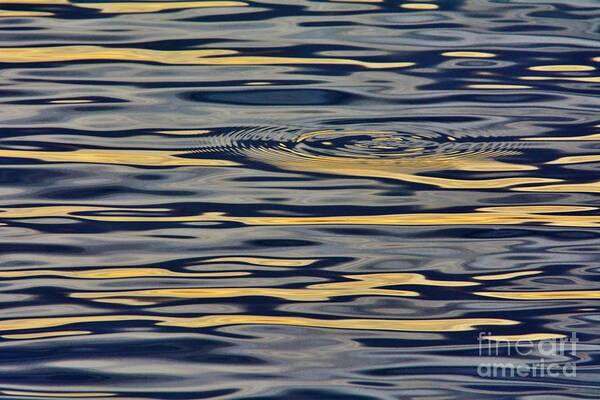 Lake Art Print featuring the photograph Water Colors 4 by Kelly Nowak