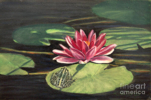 Frog Art Print featuring the drawing Water Lily Patio by Lora Duguay