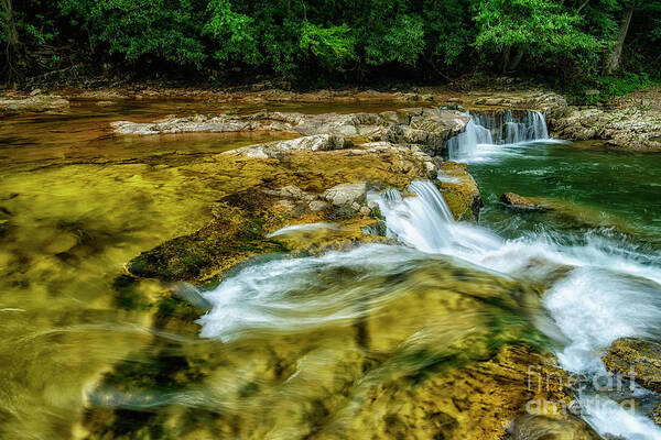 Whitaker Falls Art Print featuring the photograph Whitaker Falls in Summer by Thomas R Fletcher