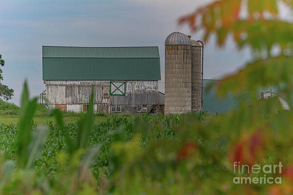 Traditional Barn Art Print featuring the photograph Beauty of the beholder by Amfmgirl Photography