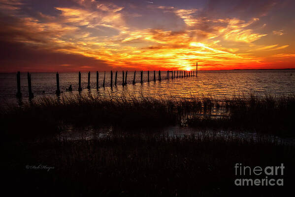 Sunsets Art Print featuring the photograph Heavenly Bliss by DB Hayes