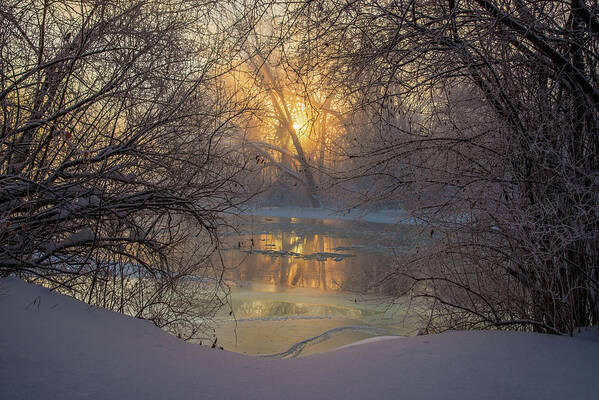 Yahara River Frigid Cold Snow Ice Blue Yellow Winter Frost Hoar Flowing Blue Sunrise Fog Mist Ominous Eery Wisconsin Wi Art Print featuring the photograph Frozen Silence #1 - Foggy sunrise on Yahara River near Stoughton WI off Stebbinsville road by Peter Herman