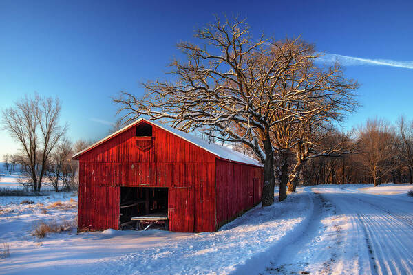 Snow Barn Red Tobacco Wagon Tree Road Blue Sky Stark Rural Scenic Winter Cold Frigid Wi Wisconsin Art Print featuring the photograph Red White and Blue - WI Tobacco barn on a frigid winter morning at sunrise by Peter Herman
