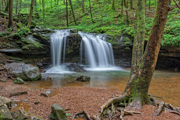 Frozen Head State Park Art Print featuring the photograph Debord Falls At Frozen Head State Park #1 by Jim Vallee