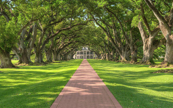 Plantation Art Print featuring the photograph Oak Alley Plantation #1 by Jim Vallee