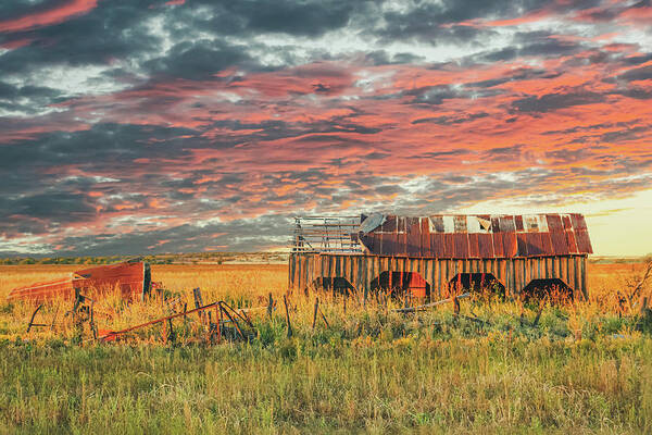 Old Barn Art Print featuring the photograph Barnstorm Revisited by Terry Walsh