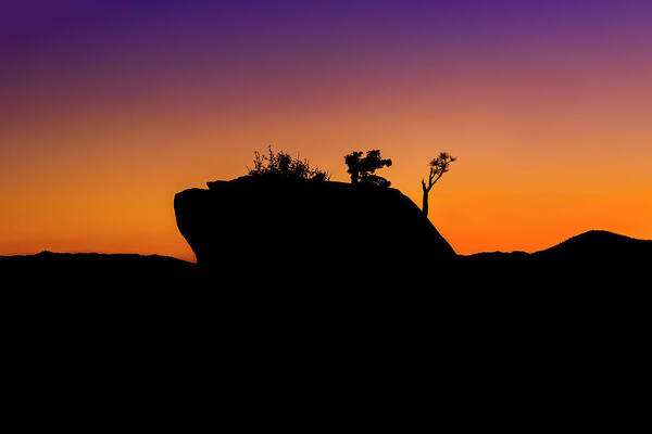 Sunset Art Print featuring the photograph Bonsai Rock Silhouette by Gary Geddes