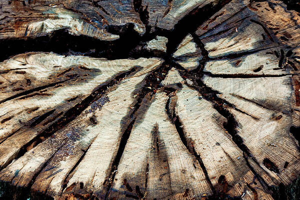 Abstract Natural Art Print featuring the photograph Crack in the World by Terry Walsh