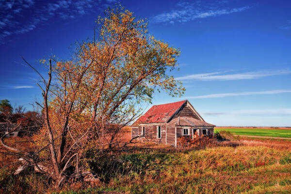 Lake Ibsen Art Print featuring the photograph Lake Ibsen Schoolhouse number 1 - Benson County ND by Peter Herman