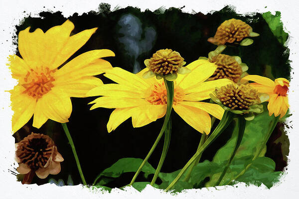 Flower Art Print featuring the digital art Mexican Sunflower by Chauncy Holmes