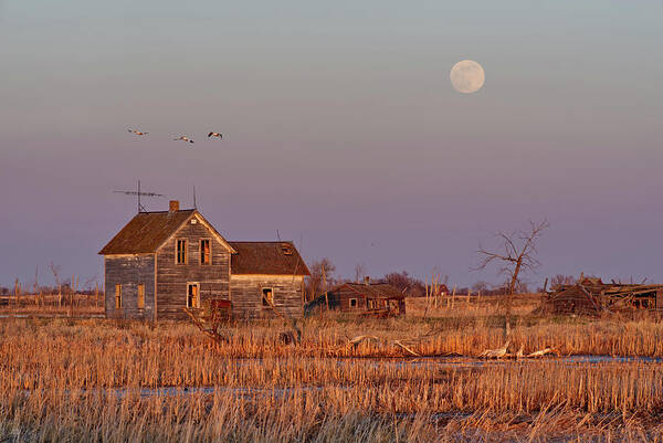 Moonrise Art Print featuring the photograph Moonrise over Maynards - Abandoned ND farm flooded out in sunset light with full moon rising by Peter Herman