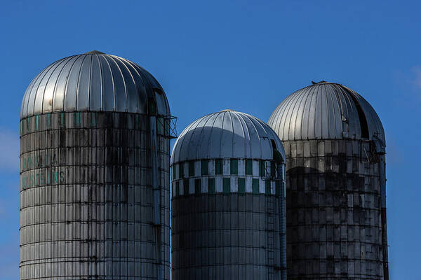 Museum Quality Art Print featuring the photograph Silos in Iroquois by Bruce Davis