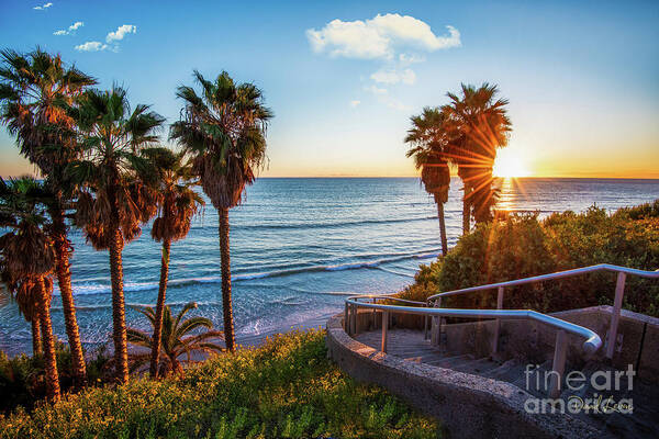 Beach Art Print featuring the photograph Stairway to Swami's Beach by David Levin