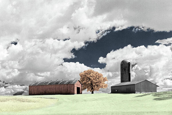 Tobacco Art Print featuring the photograph TobaccOak - hand colorized Infrared film image of Moe tobacco shed WI farm scene by Peter Herman
