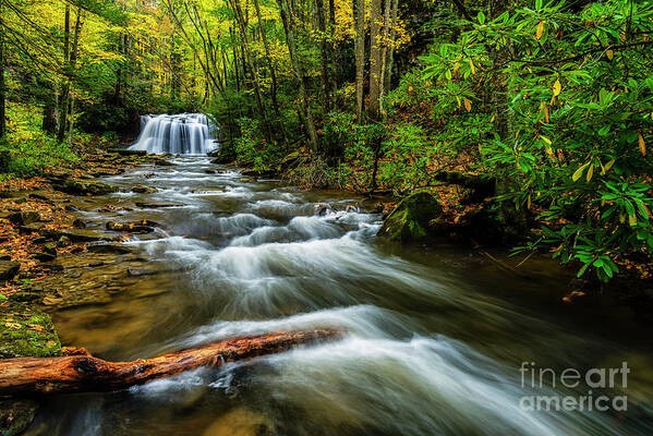 Holly River State Park Art Print featuring the photograph Upper Falls Left Fork Holly River by Thomas R Fletcher