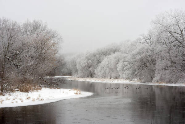 Yahara Art Print featuring the photograph Yahara Winterscape - Yahara river near Stoughton WI with geese flying by Peter Herman