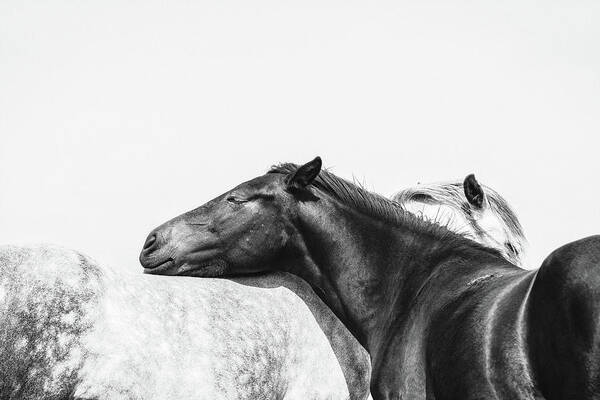 Photographs Art Print featuring the photograph You Mean the World to me II - Horse Art by Lisa Saint