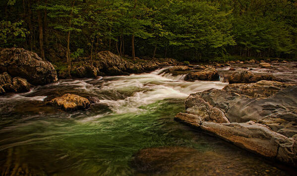 Stream Art Print featuring the photograph Stream Within the Trees by Dave Bosse