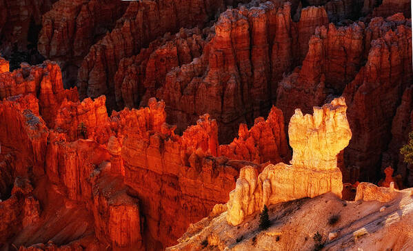 Bryce Canyon Scenic Art Print featuring the photograph Bryce Canyon Sunrise by Bob Coates