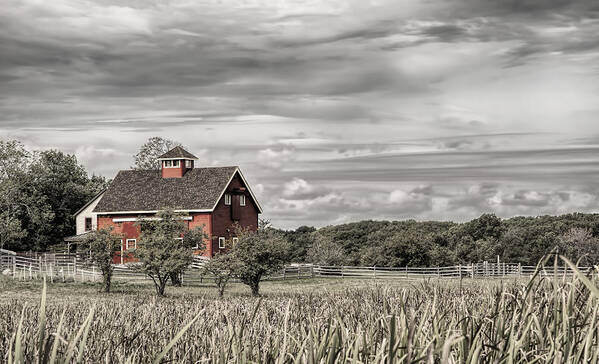 Barn Art Print featuring the photograph Red Barn by Mick Burkey