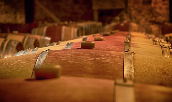 Wine Art Print featuring the photograph Wine Barrels by Mick Burkey