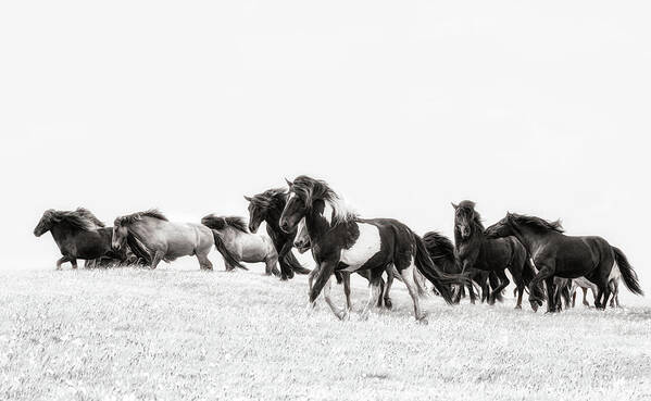 Photographs Art Print featuring the photograph Dream Runners - Horse Art by Lisa Saint