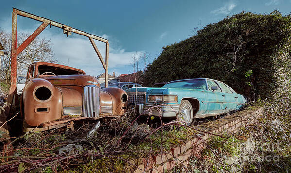 Cadillac Art Print featuring the photograph Long term Parking by David Bleeker