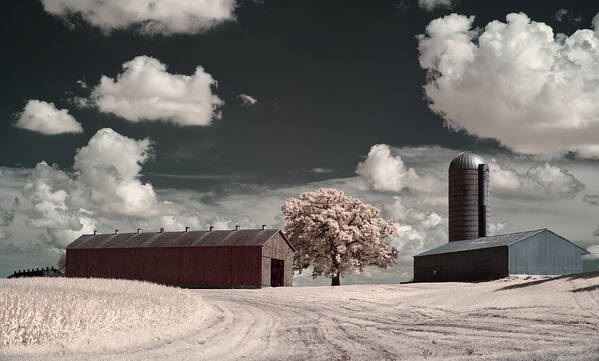 Tobacco Art Print featuring the photograph The Moe Farm tobacco shed, oak and silo near Stoughton WI by Peter Herman