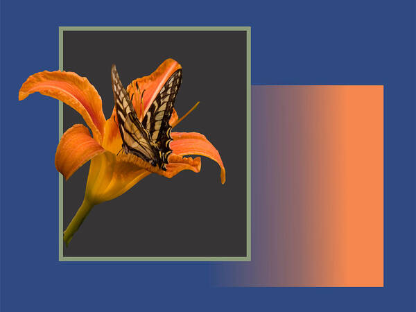 Hdr Art Print featuring the digital art Butterfly on Day Lily by Larry Capra