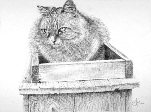 Cat Art Print featuring the drawing Cat on a Box by Arthur Fix
